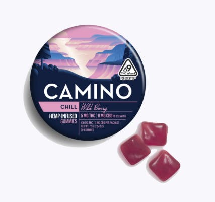 Camino - Wild Berry: Wild Berry 100mg *ALL PRICES INCLUDE TAX*