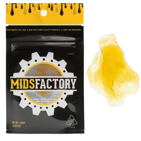 Strawberry: Cooler Bho
