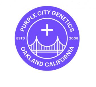 PURPLE CITY GENETICS - INDIGO CLONE *ALL PRICES INCLUDE TAX*