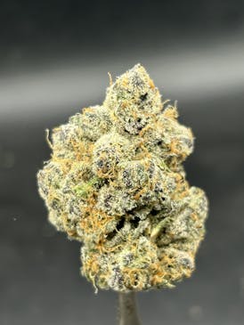 Cinna Rolls - Grown By Grove Cannabis Co