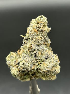 Cake Z - Tier 2