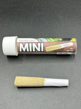 Wicked Mini - 1g Infused Pre roll - Sherb Cream Pie