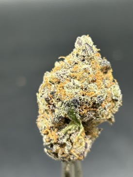 Grand Candy - Tier 2