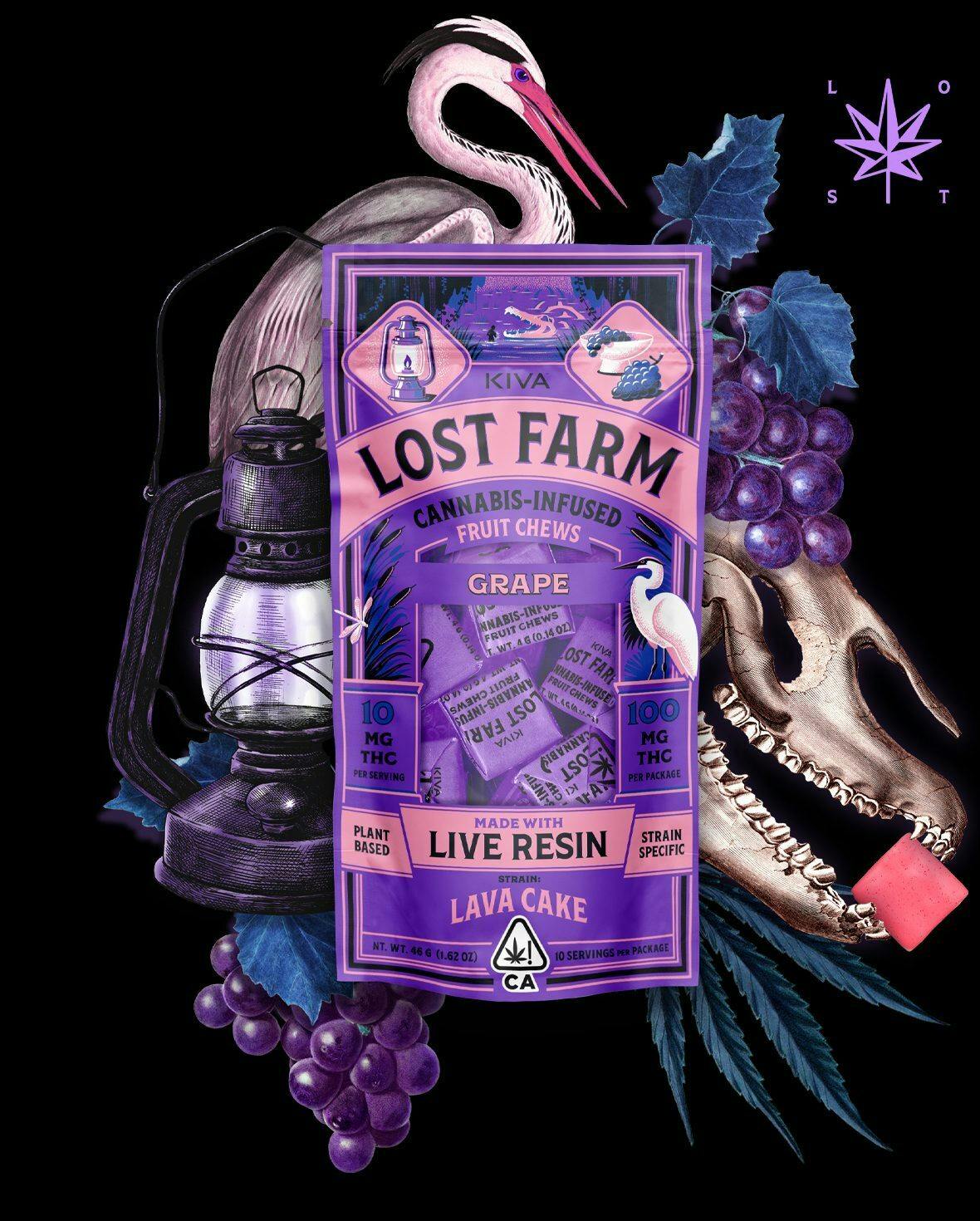 Lost Farm Gummies: Lost Farm Gummies Grape 100mg