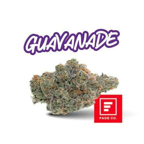 Fade Co. | Guavanade