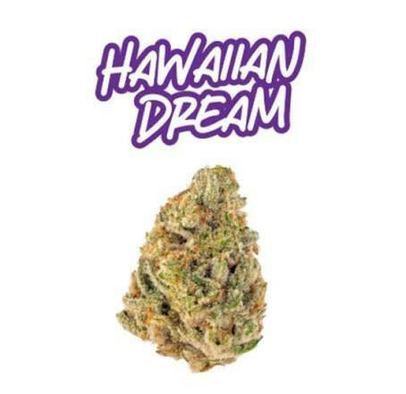 Fade Co. | Hawaiian Dream