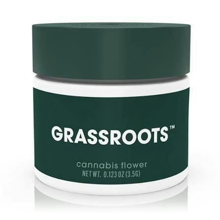 Grassroots | Wild Garlic | SMALLS