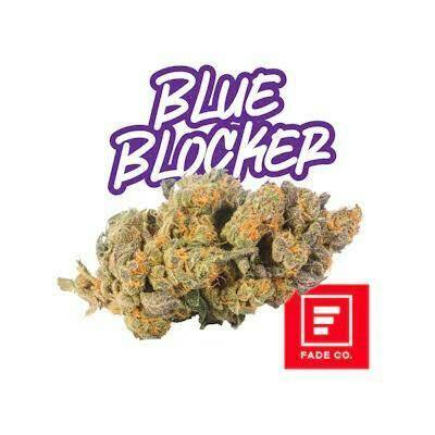Fade Co. | Blue Blockers