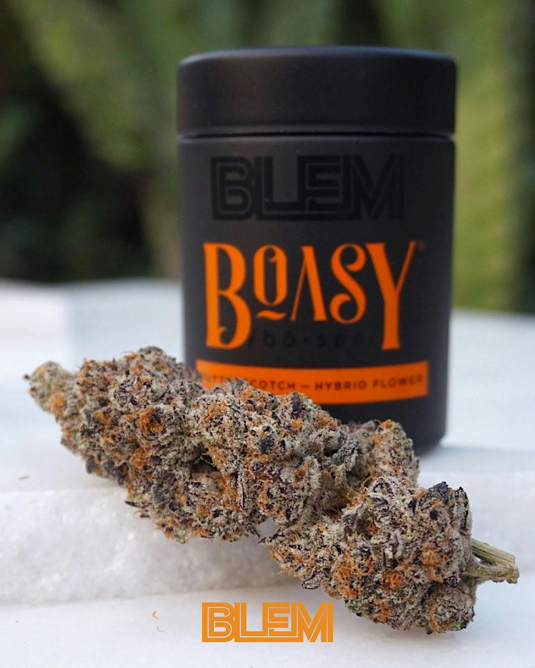 BOASY - PREPACK — Boasy