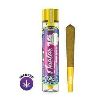 Durban Poison [1g] | Jeeter - Quad Infused Pre Roll