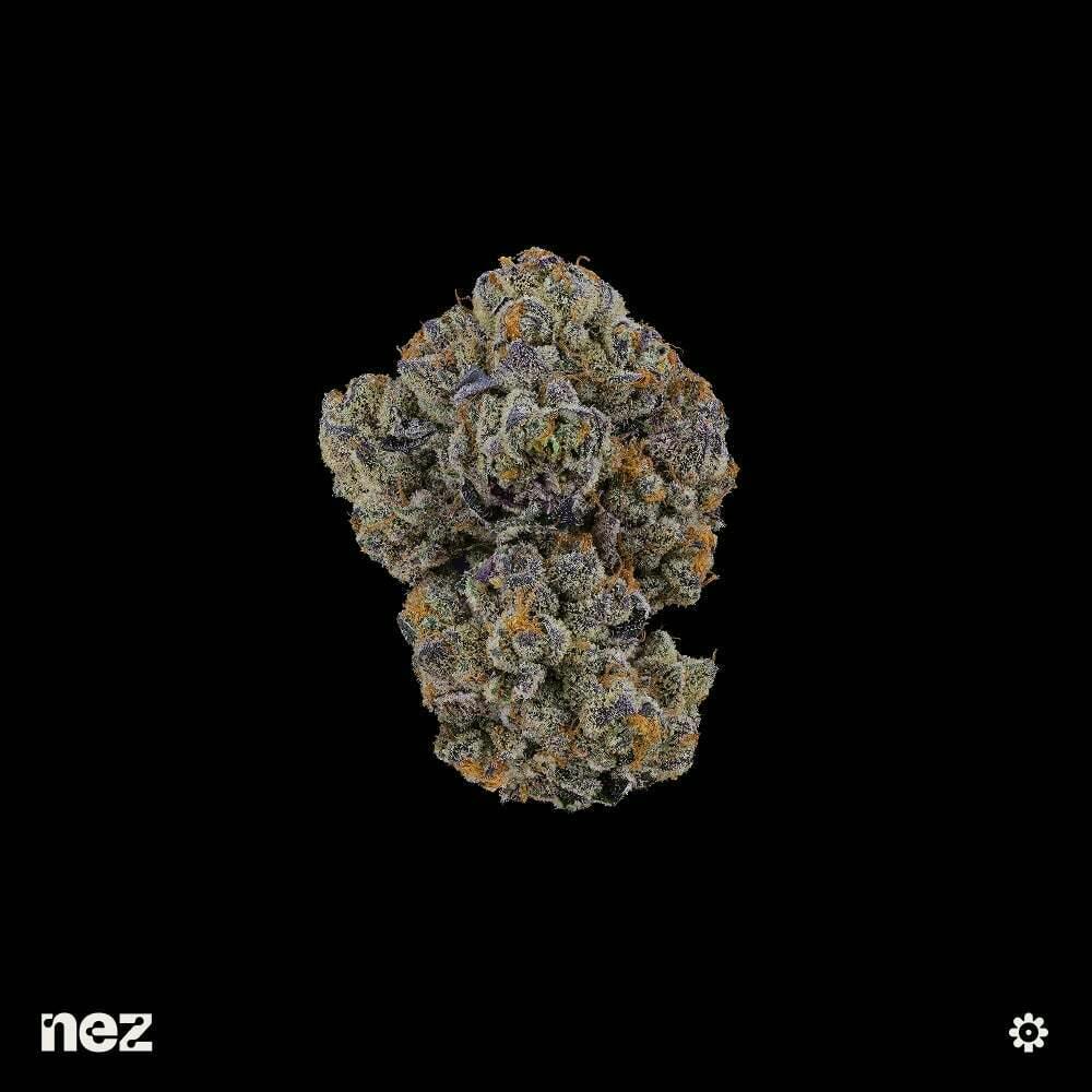 Mac Stomper | NEZ - Premium
