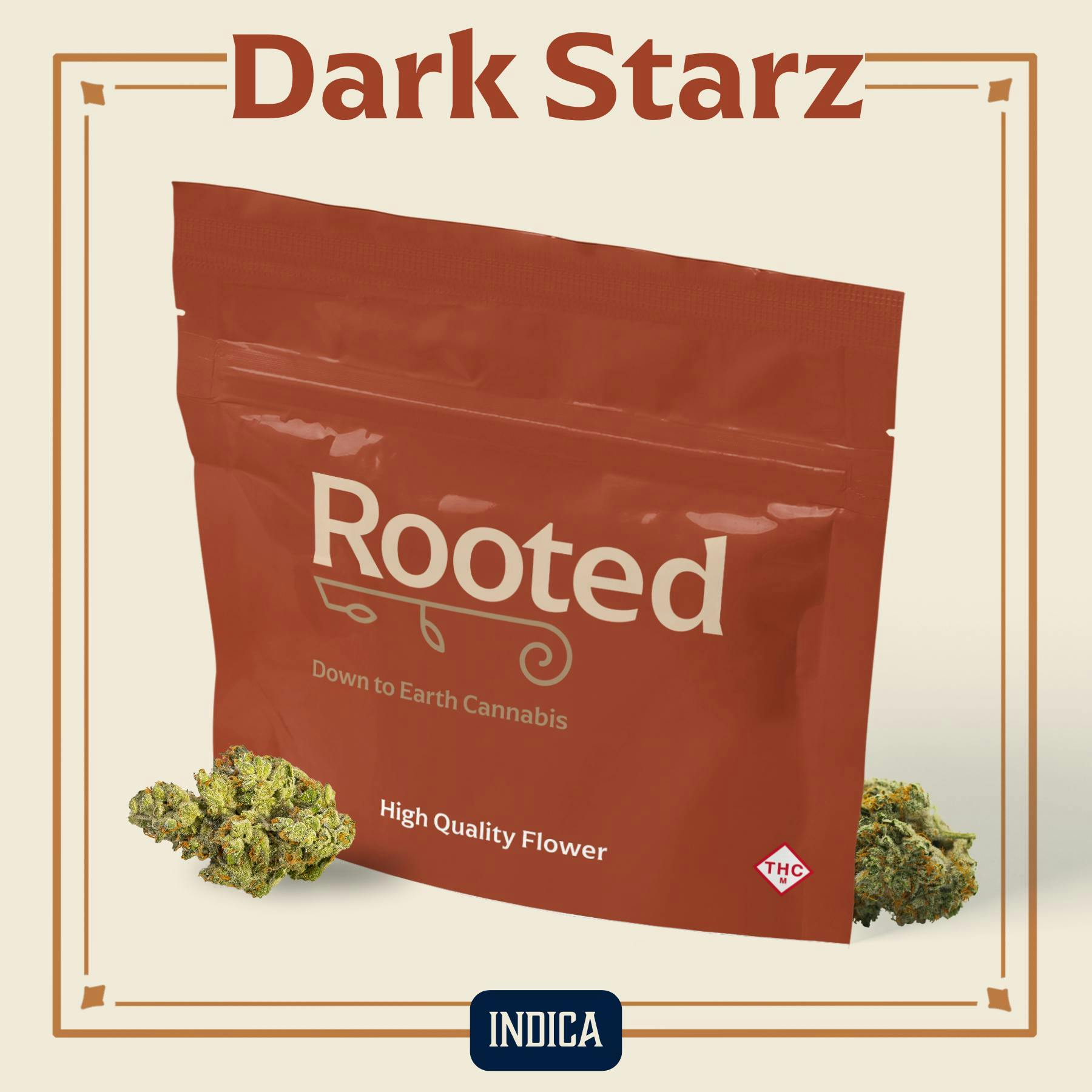 Dark Starz | Elevate