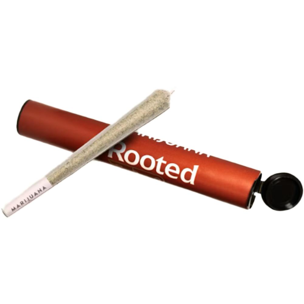 First Lady [1g] | Rooted by Elevate - Pre Roll