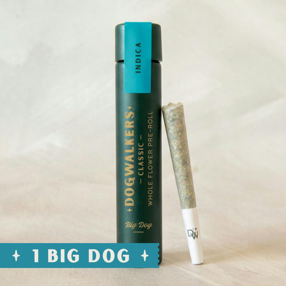 Brownie Scout [.75g] | Dogwalkers - Big Dog