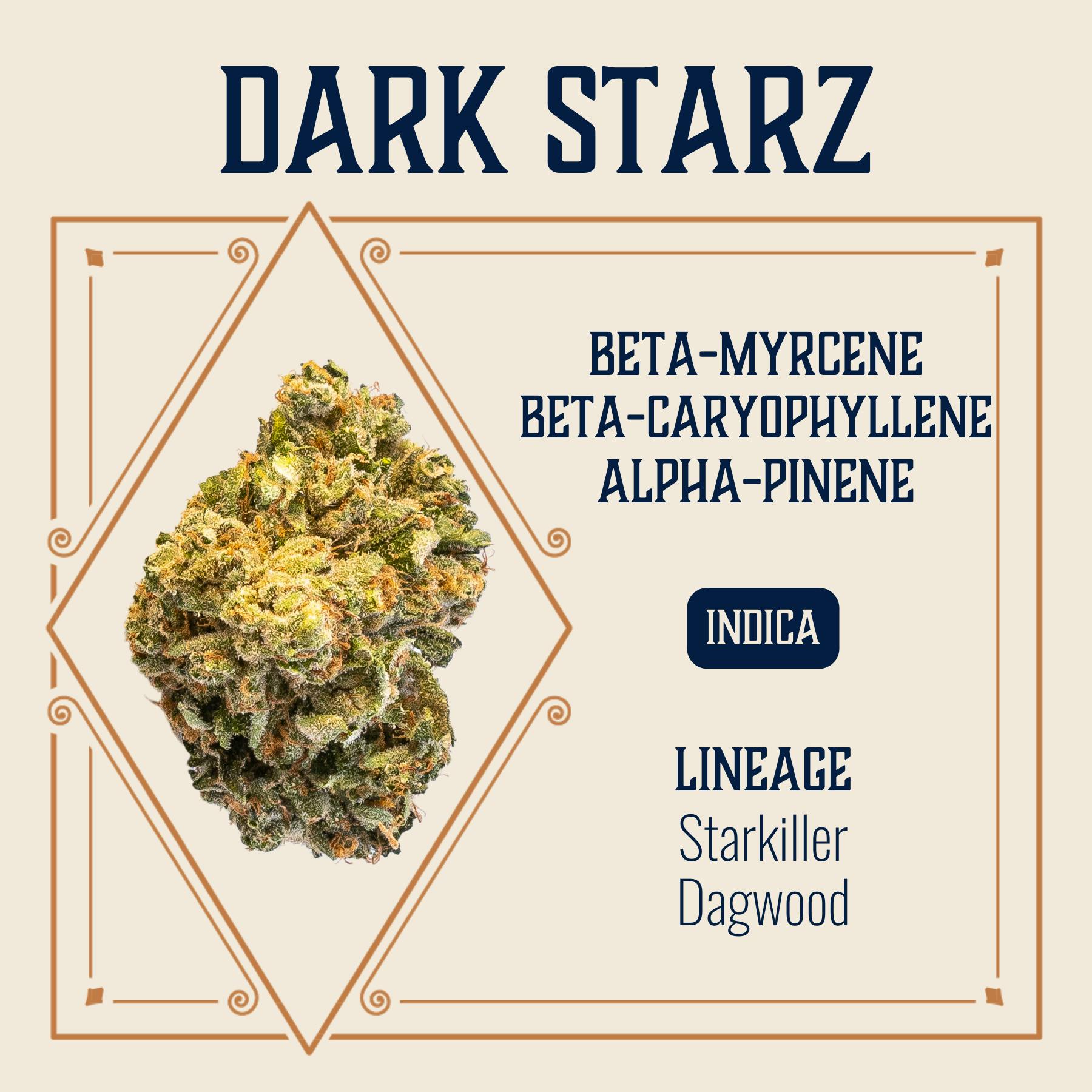 Dark Starz | Elevate