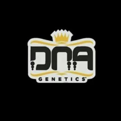 Sour OG | DNA Genetics