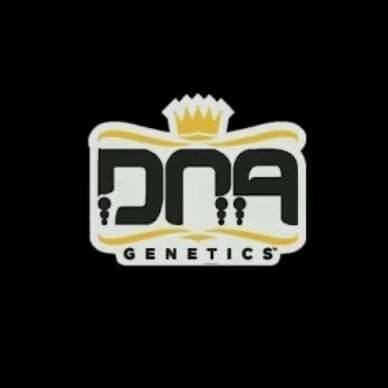 Sour OG | DNA Genetics