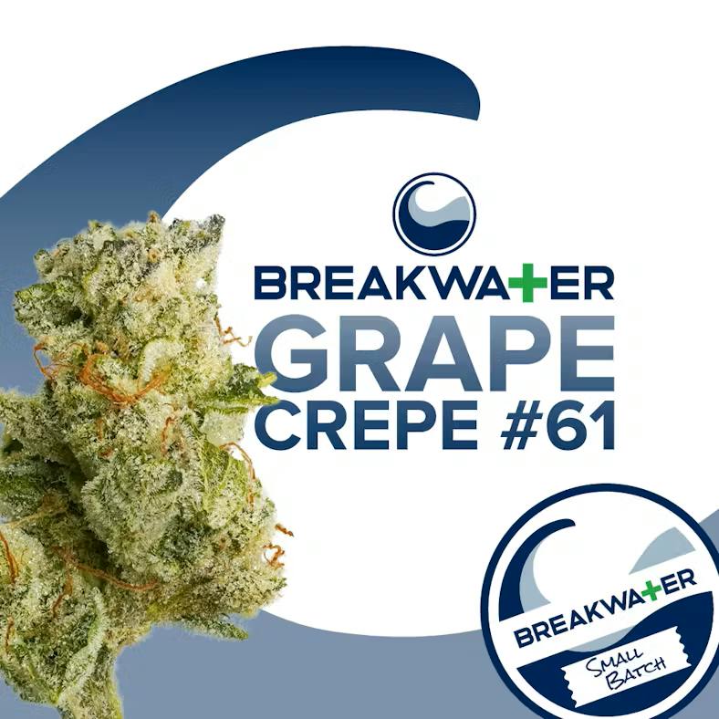 BREAKWATER | GRAPE CREPE #61 | 3.5G FLOWER