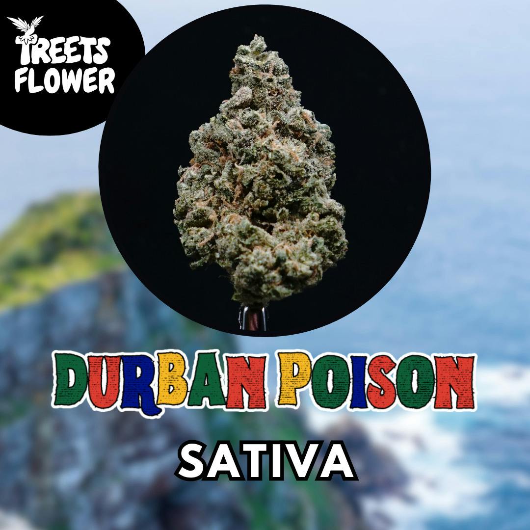 Flower - Durban Poison - Top Shelf
