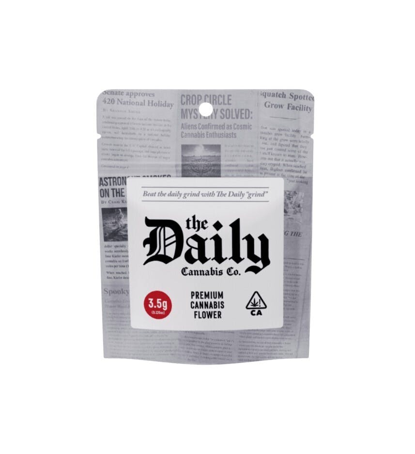 The Daily — Fat Kitty