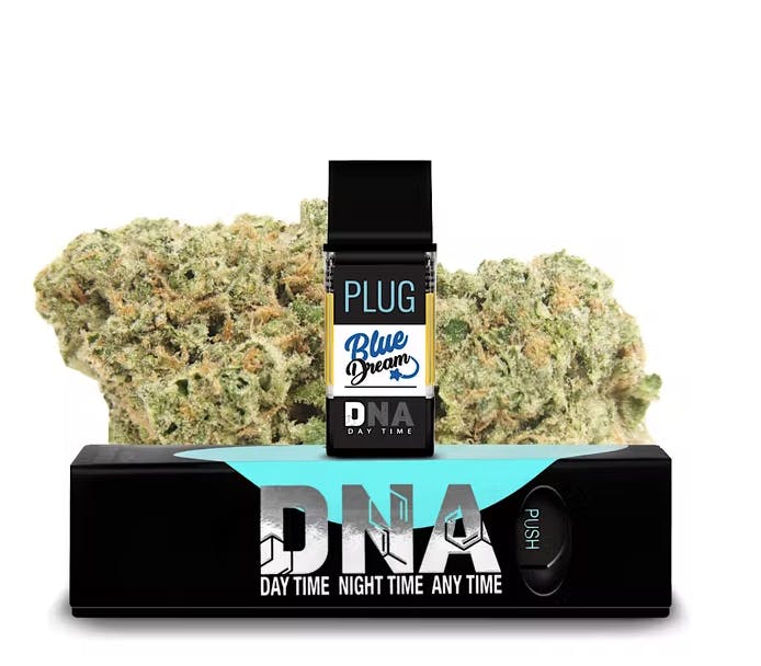 PlugPlay — Blue Dream