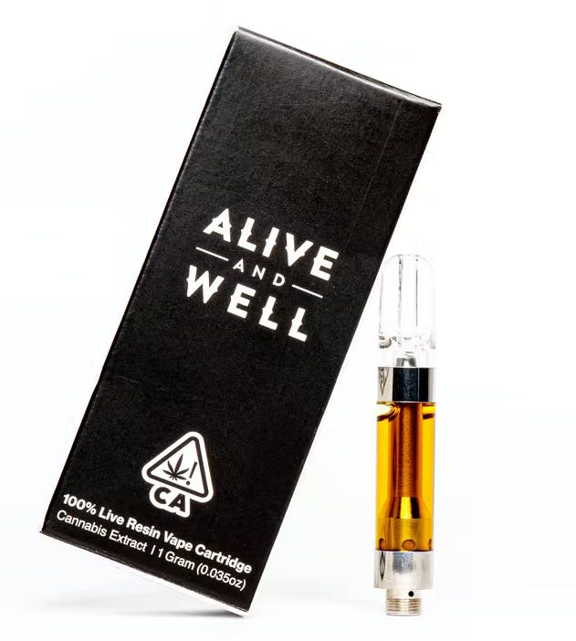 Alive and Well — Watermelon Mimosa