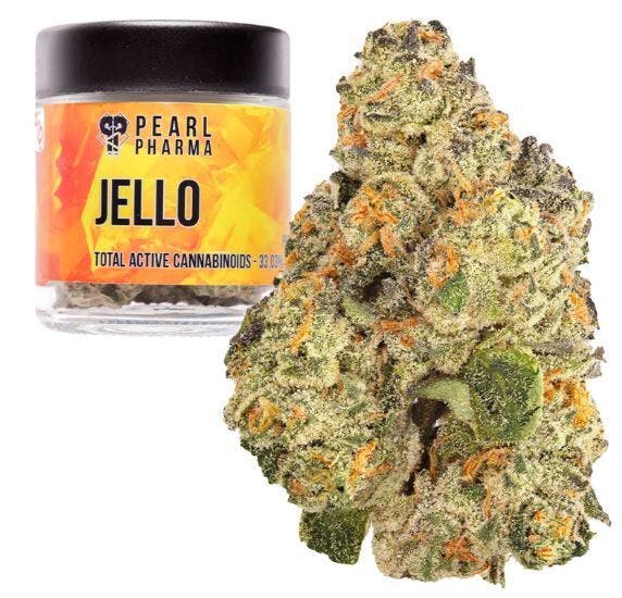 Pearl Pharma — Jello