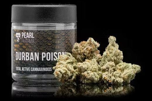 Pearl Pharma — Durban Poison