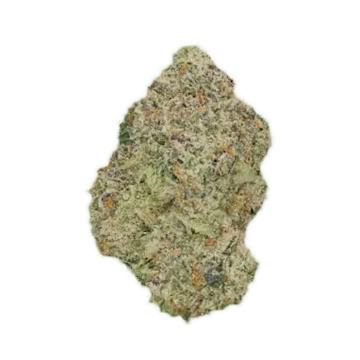 DOGHOUSE | BLUE RUNTZ | BULK DELI FLOWER