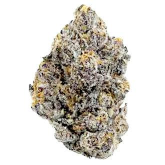 EPIC GARDENS | XO RUNTZ | BULK DELI FLOWER