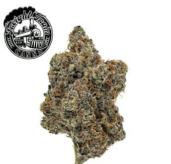 FREIGHT TRAIN | BLACK CHERRY RUNTZ | BULK DELI FLOWER