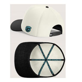 HYTEK DETROIT SNAPBACK HAT