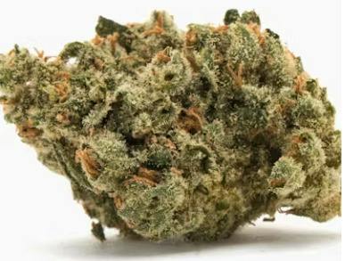 FREIGHT TRAIN | NETFLIX AND CHILL | BULK DELI FLOWER