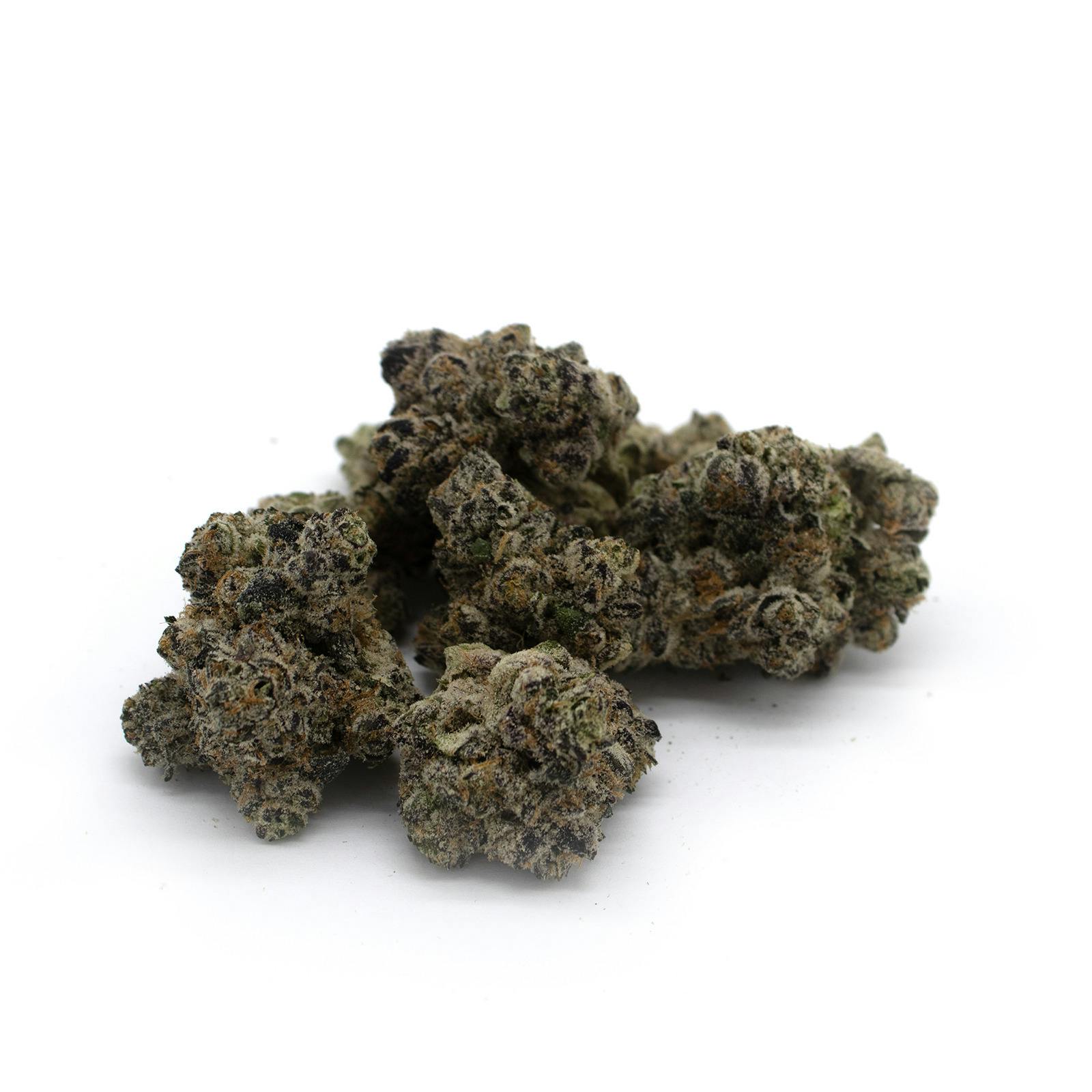 GANS | BLUEBERRY FUEGO | BULK DELI FLOWER