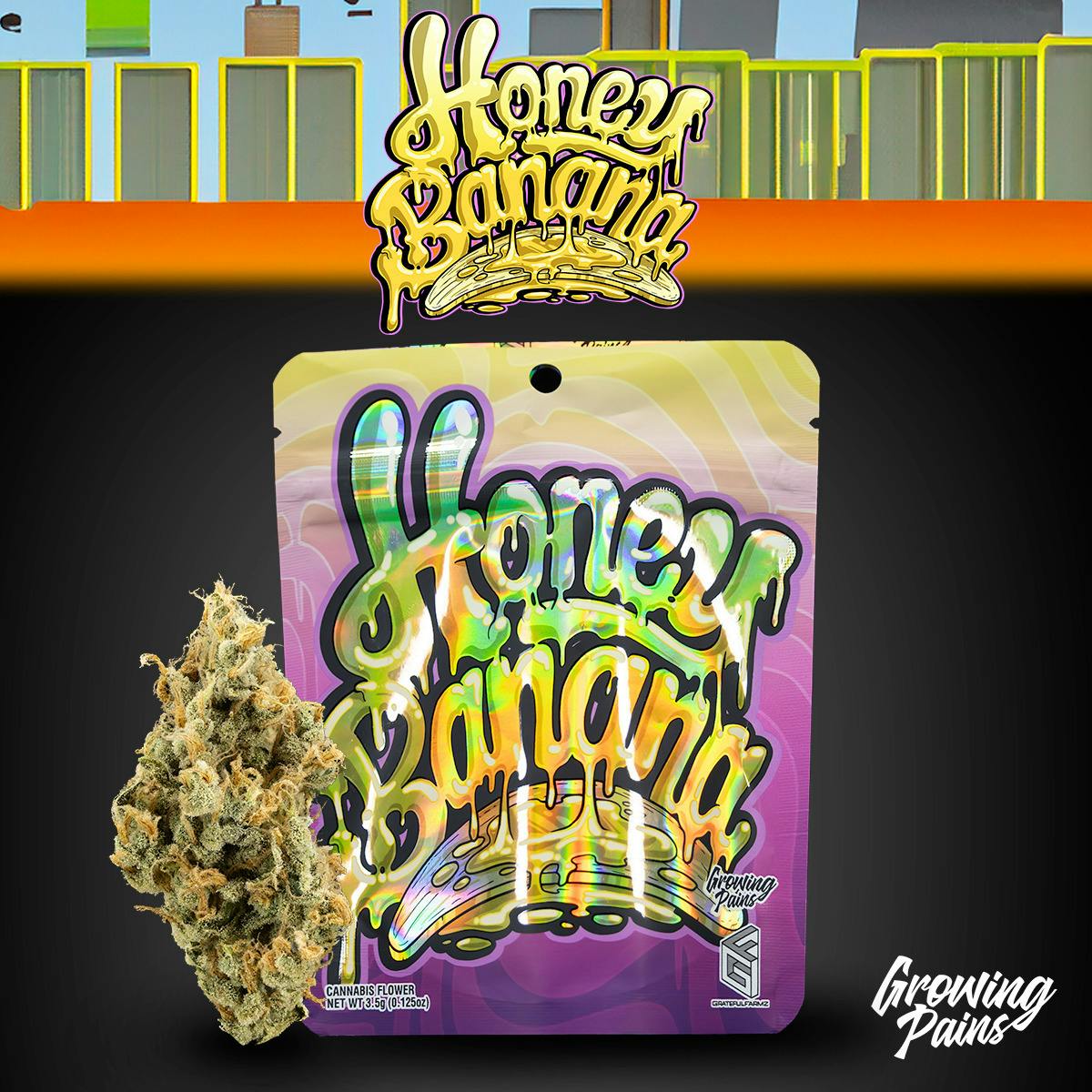 GROWING PAINS | HONEY BANANA | BULK DELI FLOWER