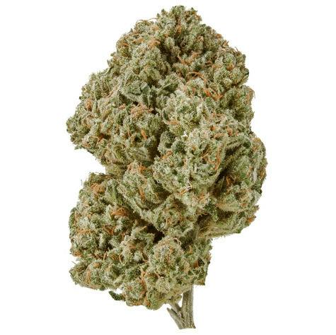CO Fresh - Sour Suver Haze (H) - 1/4 Oz CBD Flower