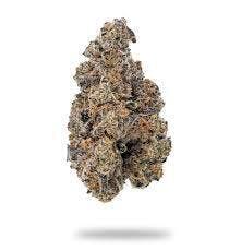 SUMMIT - Black Cherry Soda (SH) - CHOICE