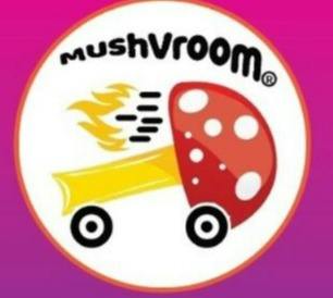 Mushvroom - Cordyceps + CBD 1:1 2000mg Tincture