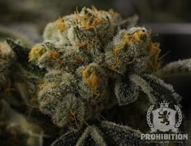 Prohibition Herb - Southwest Stomper (I) - 3.5g Prepack