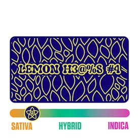 The Flower Collective - Lemon H3@%S #4 (S) - 1/8 Ounce Flower (Copy)