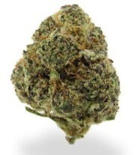 Inferno - Monkey Berries (I) - CHOICE