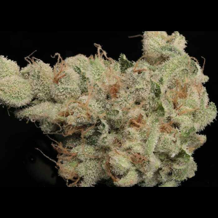 Westpine Selects - Blood Orange Cookies - SELECT