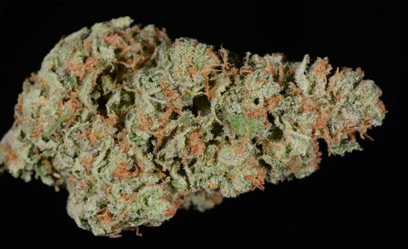 Westpine Selects - Durban Cookies (SH) - CHOICE