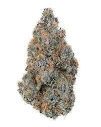 Hummingbird - Purple Kush (I) - SELECT cannabis product