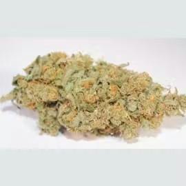 Hummingbird - Super Lemon Haze (S) - SELECT