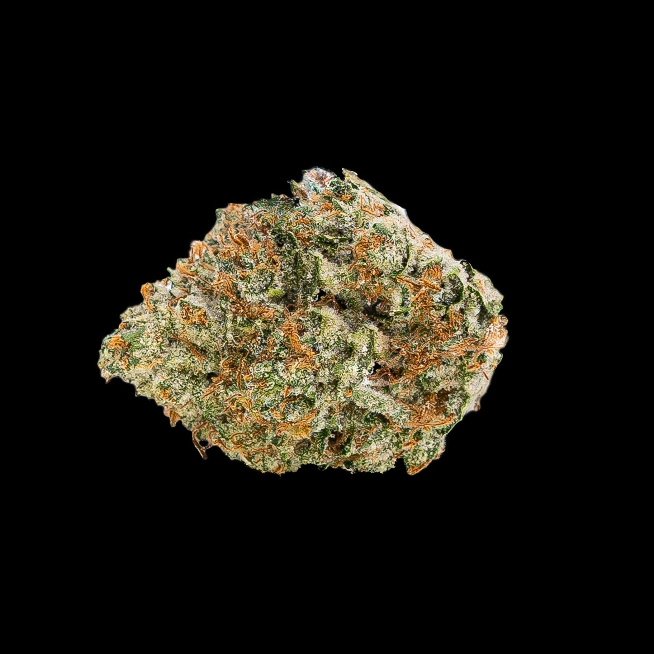 Tree Gringos - Lemon Tree (H) - CHOICE