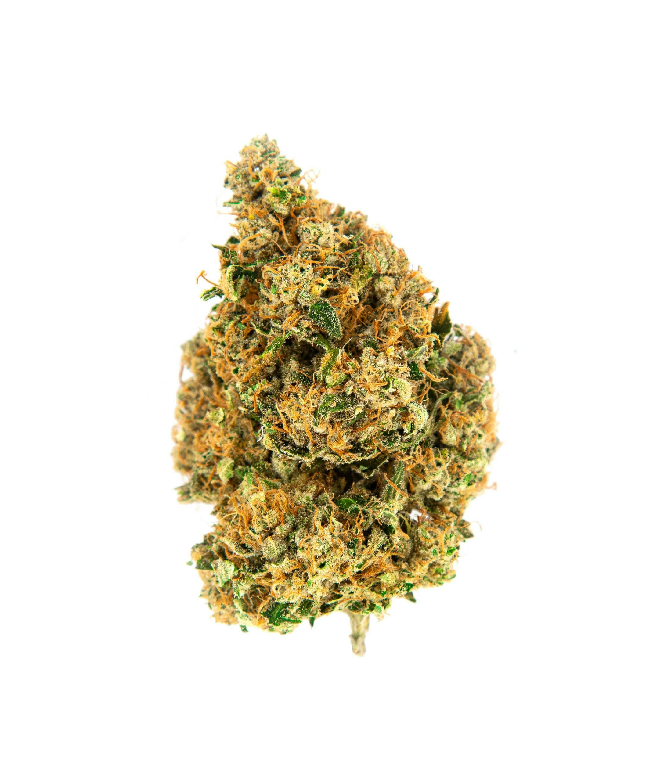Hummingbird - Chem 4 (I) - SELECT