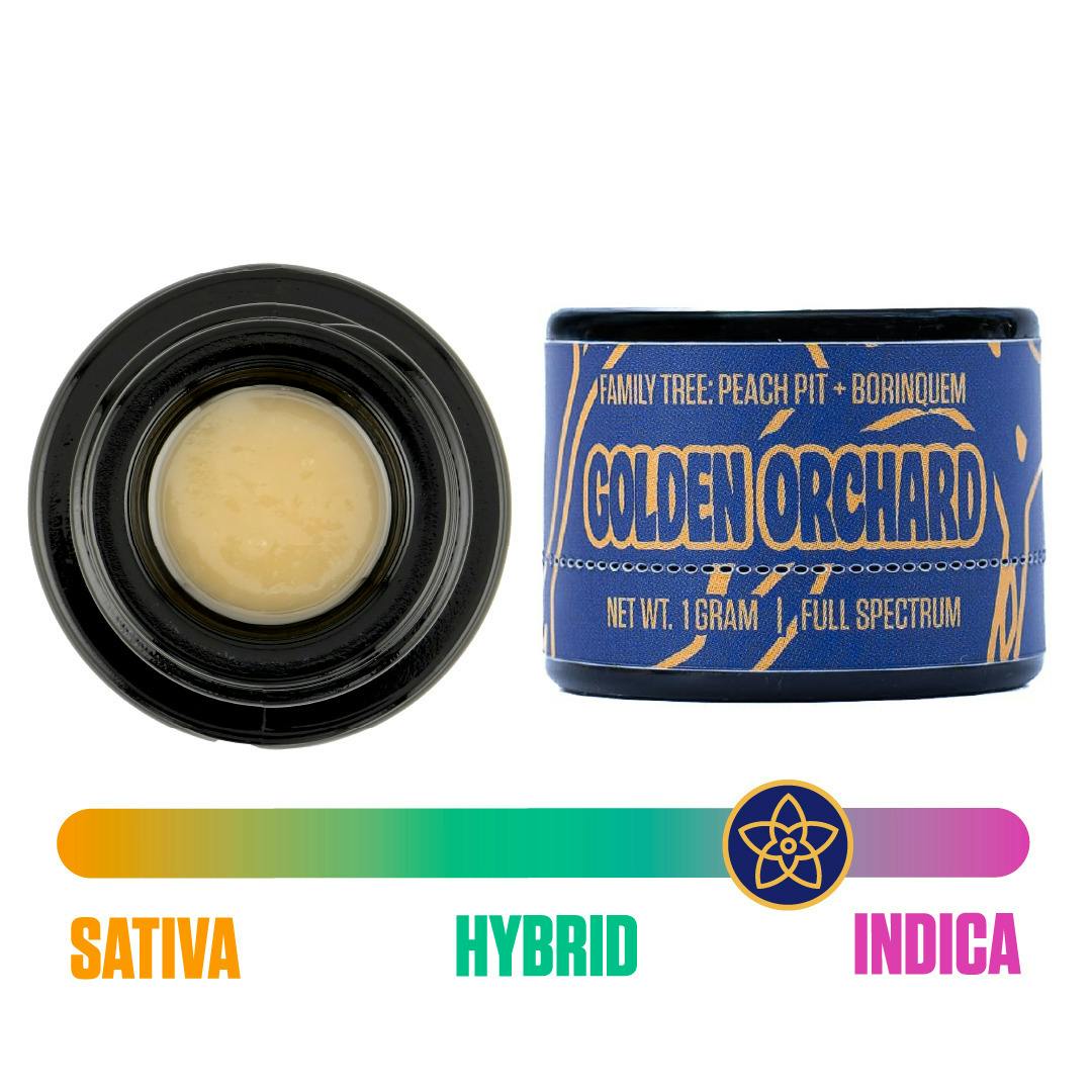 The Flower Collective - Golden Orchard (I) - 1g Cold Cured Live Rosin