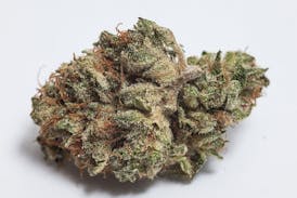 Black Cherry Soda OZ SPECIAL