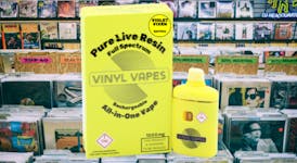 Vinyl Vapes = Violet Vixen - 1000mg Live Resin AIO